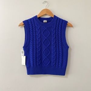 Aritzia Wilfred Alps Sweater
